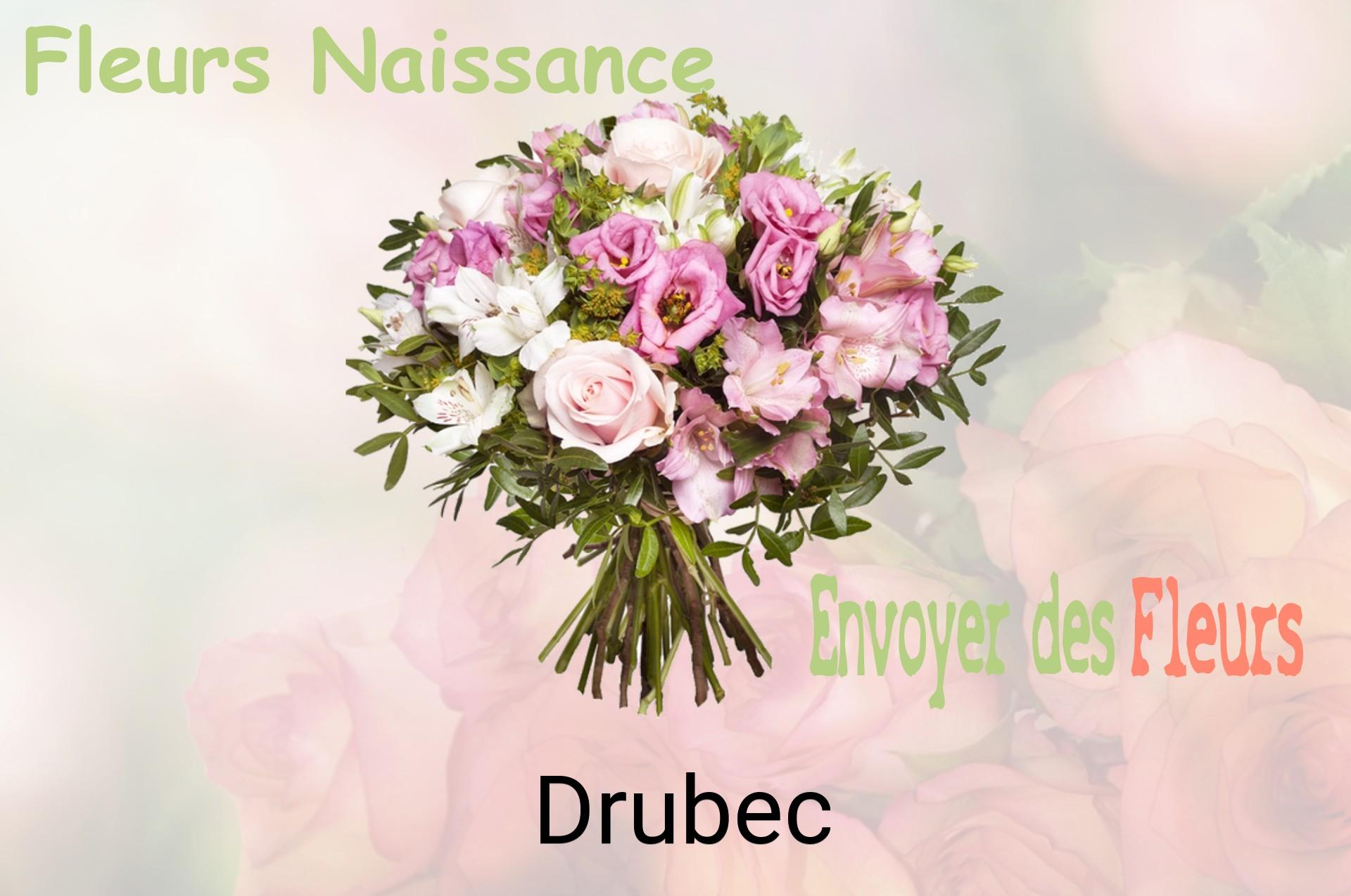 Bouquet de fleurs de naissance livré à Drubec