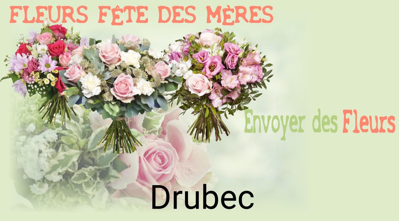 Bouquet de Fête des Mères livré à Drubec